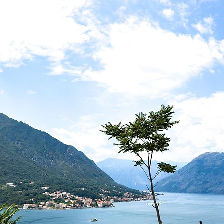 Apartamento Animil 1 Kotor Exterior foto